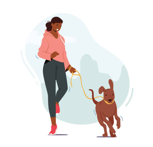 illustrations, cliparts, dessins animés et icônes de fille marchant avec le crabot à l’extérieur, course femelle de caractère avec l’animal familier drôle, femme exerçant, jogging au matin avec le chiot - teenager team carefree relaxation