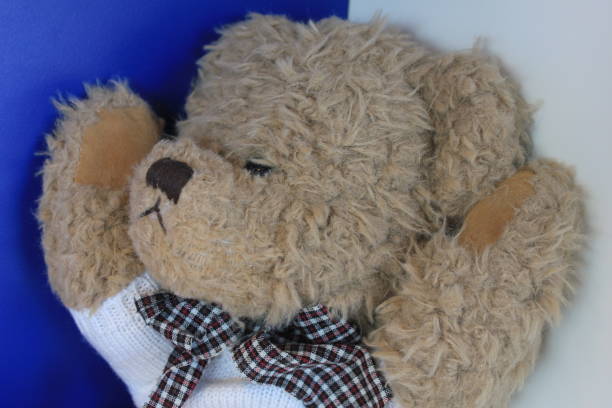 istock Sleepy cuddling toy Teddy Bear 1316127121