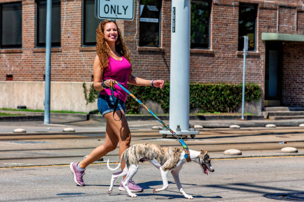 istock Latin Woman Walking Her Dog 1316127520