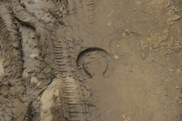 Car wheel trail and horseshoe trail on muddy road