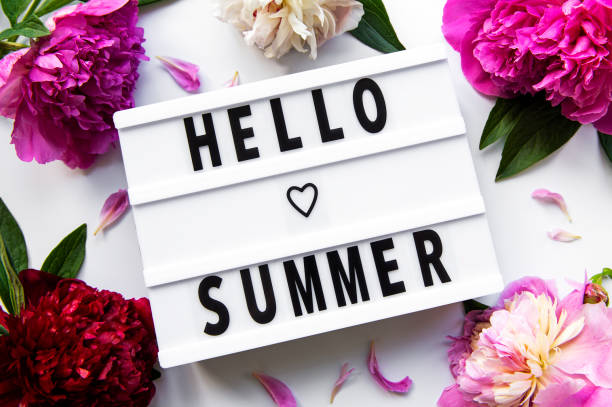 istock Lightbox with text HELLO SUMMER and peony flowers 1316128975
