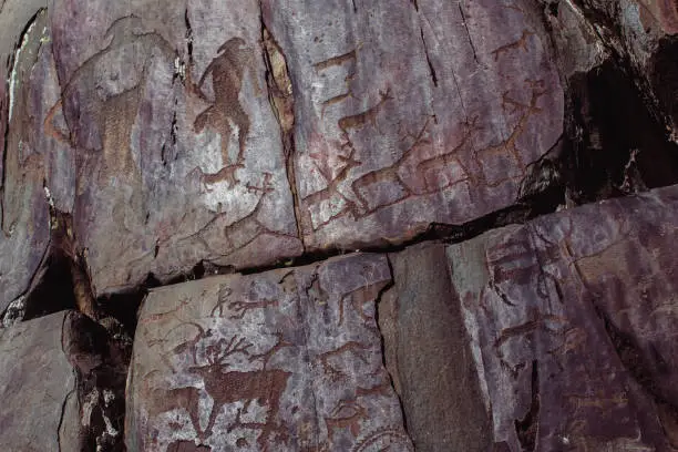 Close-up view of petroglyphs, ancient rock paintings in the Altai Mountains.