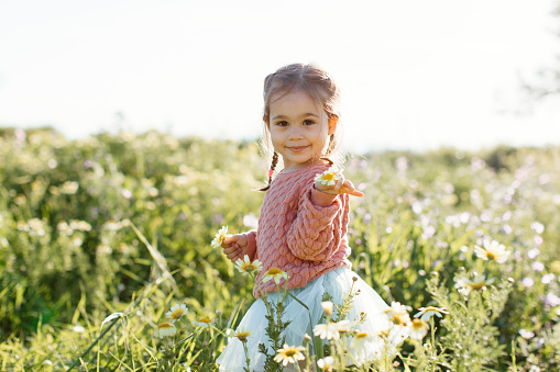 Little girl holding white blowballs flower in hands and looking at camera in blossom field. Cute child kid with dandelions at nature