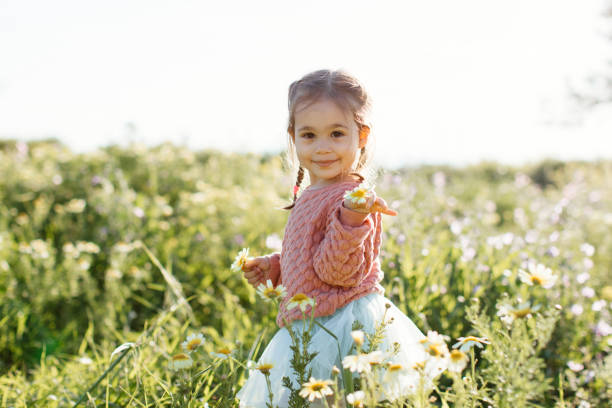 menina bonitinha se divertindo na natureza - child little girls single flower flower - fotografias e filmes do acervo