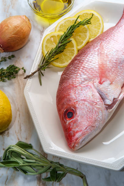 Whole Raw Red Snapper Fresh whole raw head-on red snapper with seasoning ingredients snapper head stock pictures, royalty-free photos & images