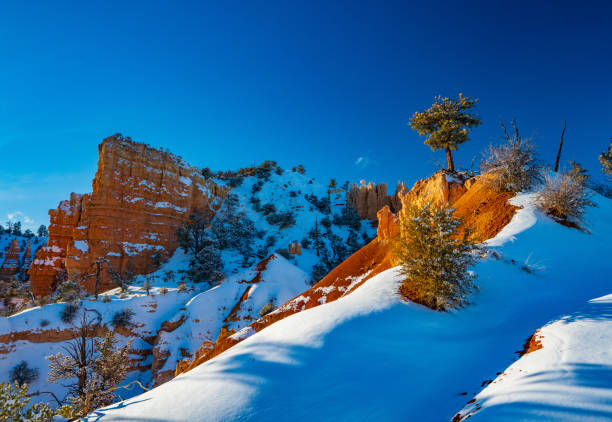 istock Shadows on Snow in Bryce Canyon 1316130626