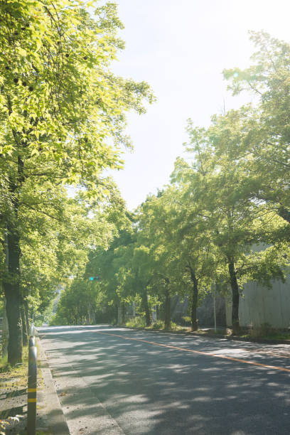 istock Suita City's Sanshikisaido 1316134542