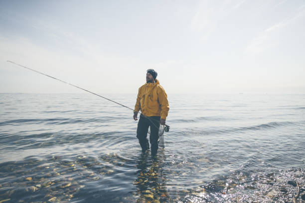 Saltwater Fly-fishing in Øresunds clean, coastal waters just north of the capital city Copenhagen, Denmark.  Male fisher wearing bright yellow jacket wading in the salty sea.