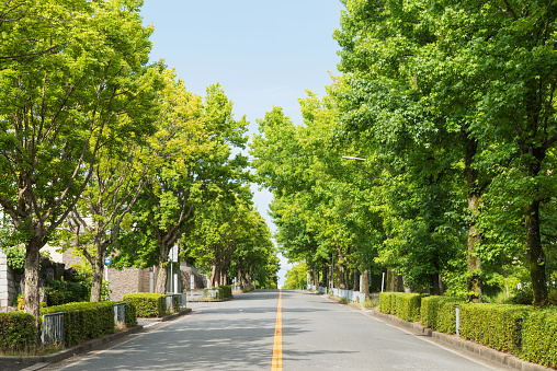 Suita City's Sanshikisaido in Osaka