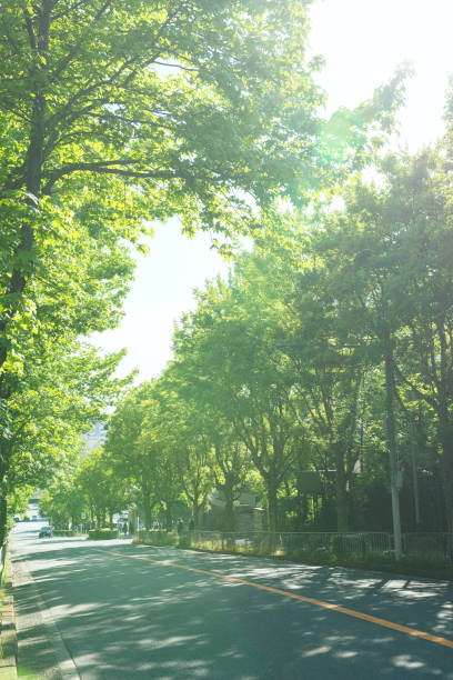 istock Suita City's Sanshikisaido 1316135774