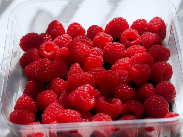 istock Raspberries in a plastic container for sale 1316136700