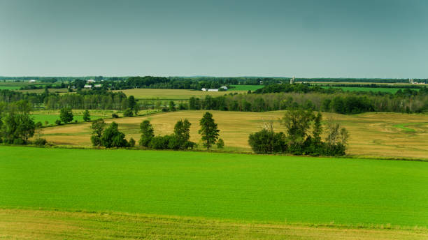 istock Wisconsin Farmland - Aerial 1316139288