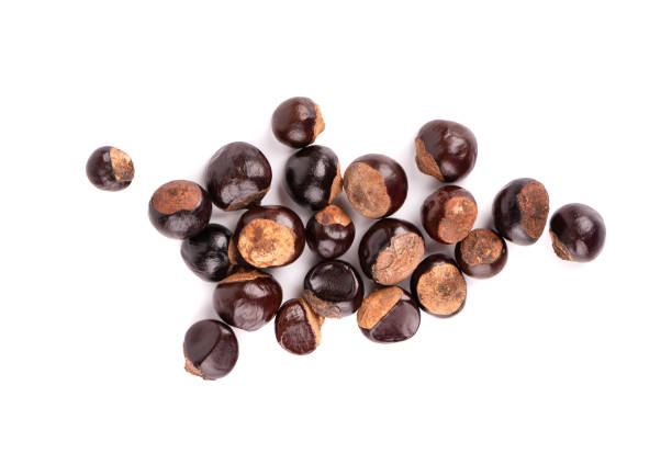 istock Guarana seed isolated on white background. Dietary supplement guarana, caffeine cource for energy drinks. Paullinia cupana. Top view. 1316150938