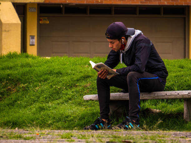 Man reading a book sitting on a bench in the park stock photo
