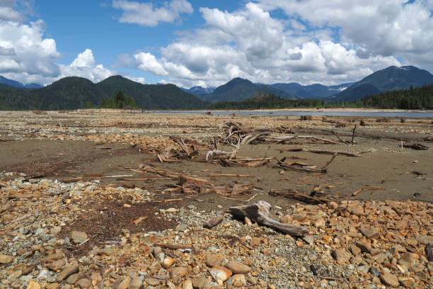 istock Tidal flats with background of mountain range 1316157041