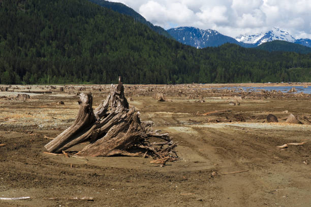 istock Tidal flats with background of mountain range 1316157081