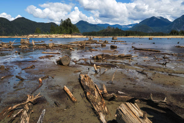 istock Tidal flats with background of mountain range 1316157140