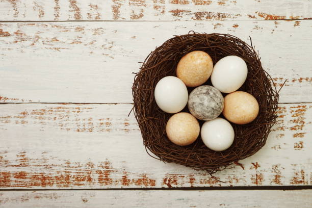 istock Easter Eggs in bird nest with space copy on wooden background 1316166273