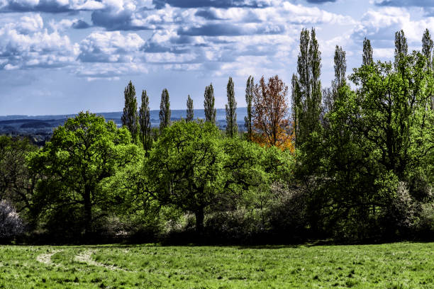 panoramic image of generic english farmland in springtime worcestershire england uk