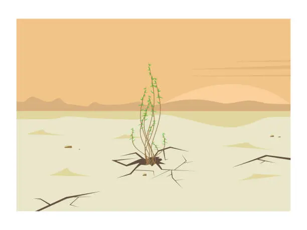 Vector illustration of Drought in the desert. A green sprout grows out of the ground or sand. Plant, bush and dry, cracked soil, earth. Сoncept of a new life.Landscape with sunset or sunrise, the sun on the horizon. Vector