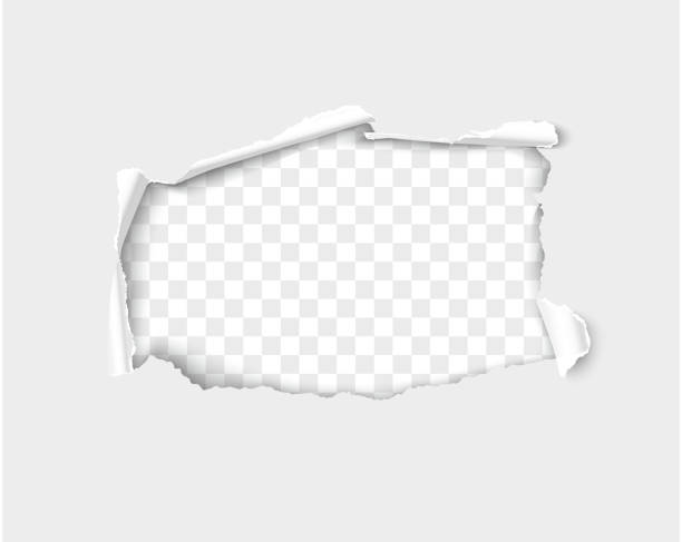 Paper hole frame for you image or text Torn paper. Paper hole frame for you image or text. Realistic vector illustration of paper torn paper stock illustrations