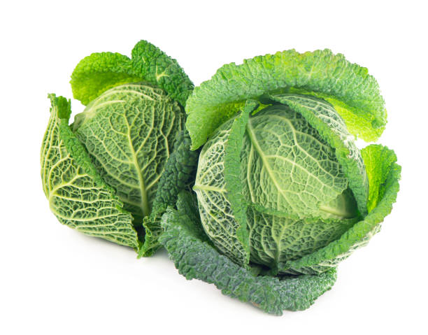 istock Whole head of savoy cabbage over white background 1316181571