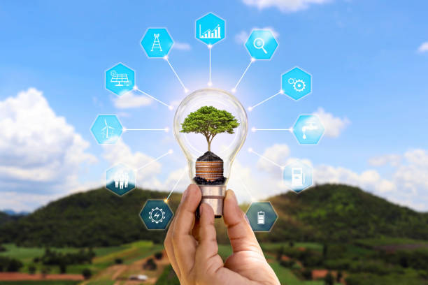 istock The tree growing in the human hand energy saving light bulb and energy saving icon concept of energy saving and eco friendly energy consumption. 1316182819