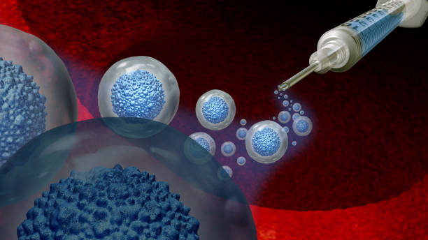 Stem Cell Treatment Stem cell treatment and biology as a multicellular embryonic concept or adult organismas a symbol for cellular therapy as a 3D illustration. stem cell stock pictures, royalty-free photos & images