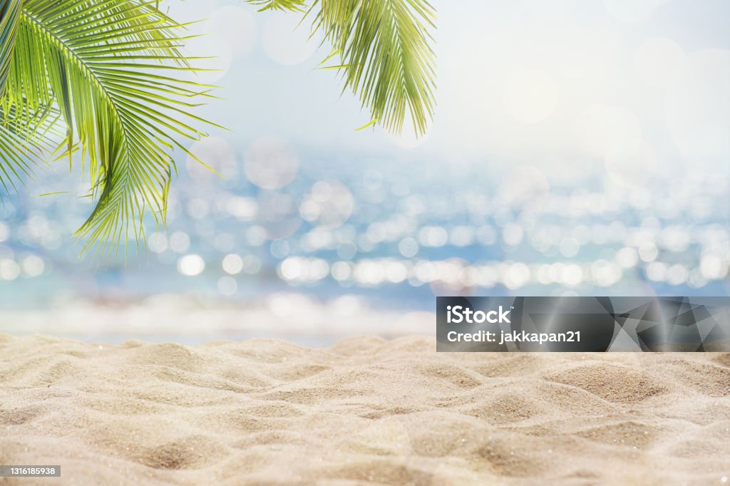 summertime vacation background Abstract seascape with palm tree, tropical beach background. blur bokeh light of calm sea and sky. summertime vacation background concept. Beach Stock Photo
