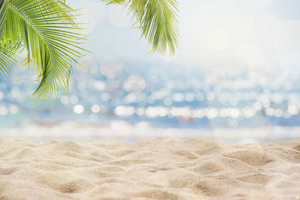 summertime vacation background Abstract seascape with palm tree, tropical beach background. blur bokeh light of calm sea and sky. summertime vacation background concept. shore stock pictures, royalty-free photos & images