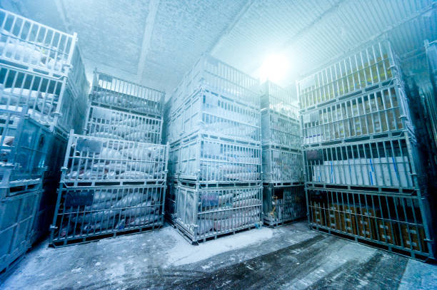istock Freezing storage of tuna 1316186152