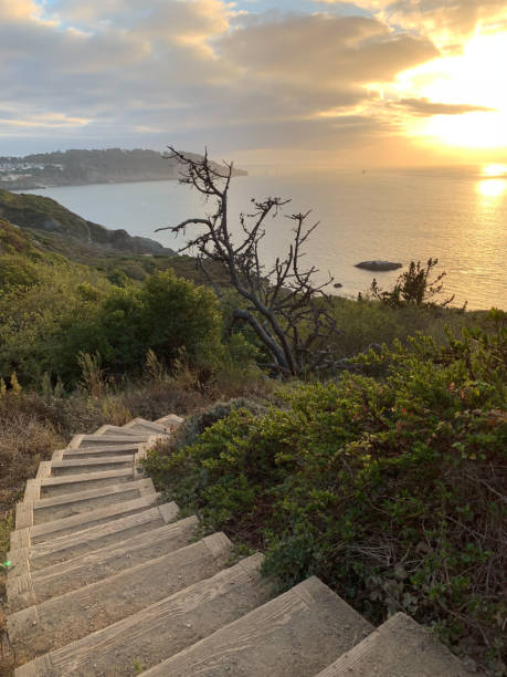 istock Marshall's Beach in San Francisco 1316187100