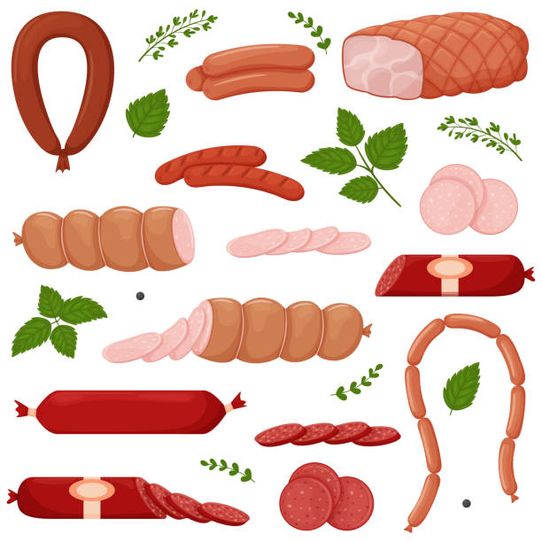 illustrations, cliparts, dessins animés et icônes de ensemble de produits bouillis et fumés de saucisse, frankfurter, saucisse entière, moitié, tranché, porc bouilli, chaîne de saucisses, brindilles vertes et feuilles. nourriture, plat de viande. illustration de vecteur de couleur d’isolement sur le b - meat loaf meat cooked beef