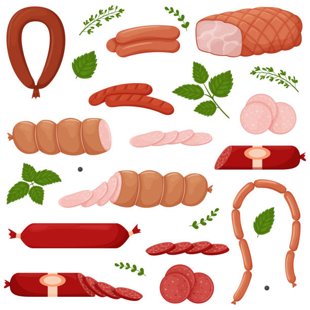 煮込みソーセージ製品、フランクフルター、ソーセージ全体、半分、スライス、ゆでた豚肉、ソーセージのひも、緑の小枝と葉のセット。食べ物、肉料理。白色に分離されたカラー ベクトル - bologna点のイラスト素材／クリップアート素材／マンガ素材／アイコン素材