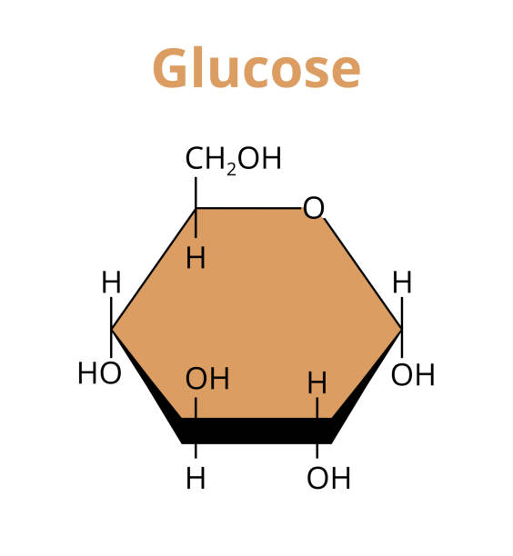 illustrations, cliparts, dessins animés et icônes de structure moléculaire vectorielle 2d du glucose monosaccharide isolé sur un fond blanc. - molecule glucose chemistry biochemistry