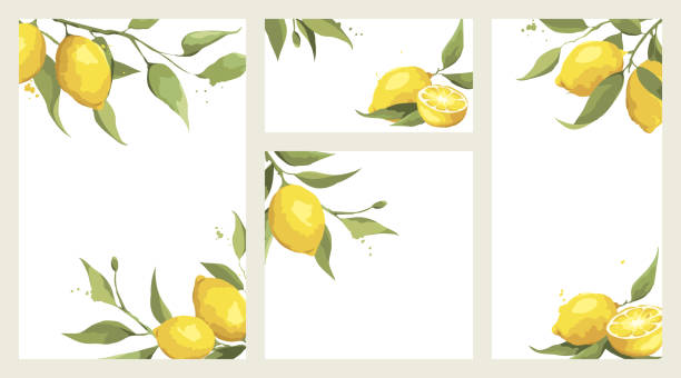 illustrazioni stock, clip art, cartoni animati e icone di tendenza di biglietto d'estate con ramo di limone. - lemon