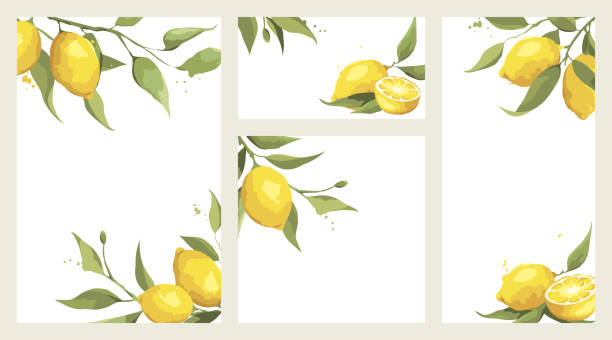 Letnia karta z gałązką cytryny. – artystyczna grafika wektorowa