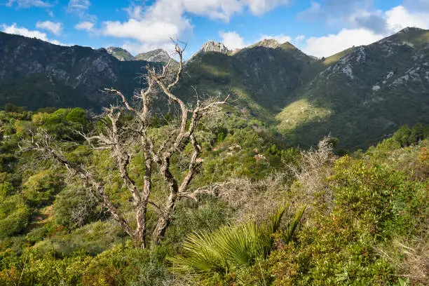Photo of Sierra Blanca. Striations with the Sierra de las Nieves National Park, Malaga. Andalusia, Spain
