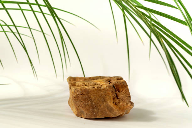 istock natural stone podium with palm leaves on neutral white background. Concept scene stage showcase for product, promotion, sale, banner, presentation of cosmetic products. Minimal showcase empty mock up. 1316200328