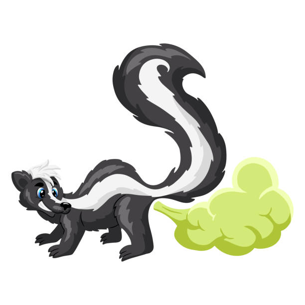  Ilustración de Animales Personaje Divertido Skunk En Estilo De Dibujos Animados y más Vectores Libres de Derechos de Mofeta