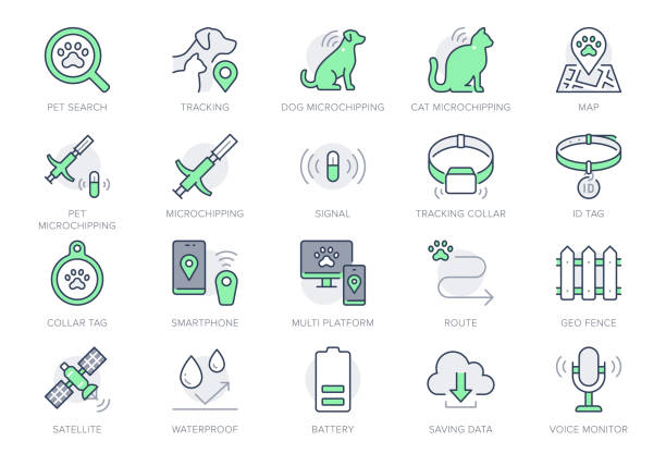 Pet tracking line icons. Vector illustration include icon - trace, collar, microchip, magnifier, battery, dog, cat tracking outline pictogram for animal search. Green Color, Editable Stroke Pet tracking line icons. Vector illustration include icon - trace, collar, microchip, magnifier, battery, dog, cat tracking outline pictogram for animal search. Green Color, Editable Stroke. lost icon stock illustrations