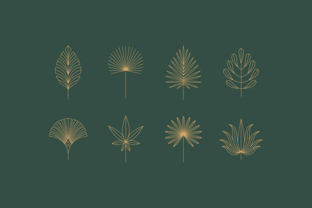 ilustrações, clipart, desenhos animados e ícones de conjunto vetorial de ícones e símbolos boho lineares - modelos de design floral - elementos de design abstratos para decoração no estilo minimalista moderno - palmeiras