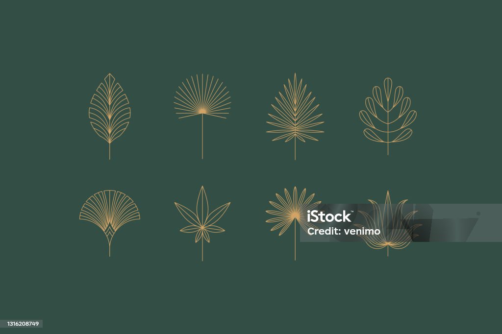 Vector set of linear boho icons and symbols - floral  design templates - abstract design elements for decoration in modern minimalist style Palm Leaf stock vector