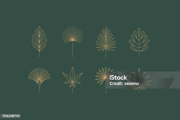 Vector Set Of Linear Boho Icons And Symbols Floral Design Templates Abstract Design Elements For Decoration In Modern Minimalist Style Stock Illustration - Download Image Now