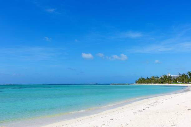 istock Beautiful beach under blue sky, tourist attraction 1316208900