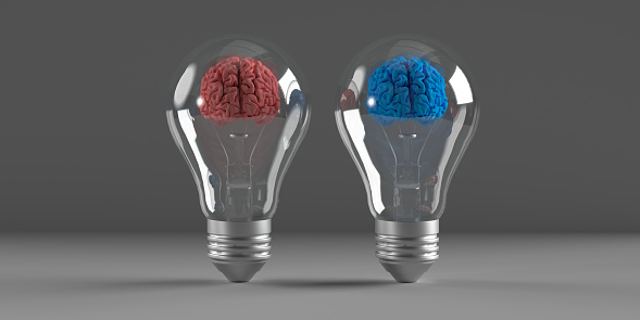 3D rendered blue and red brain in light-bulb concept: Two transparent bulb symbols with each having a single brain. Grey background with copy space. Relationships, different thinking. Men and woman differences in all matters