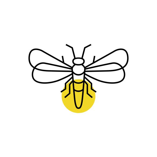 firefly umriss vektor-symbol-illustration - leuchtkäfer stock-grafiken, -clipart, -cartoons und -symbole
