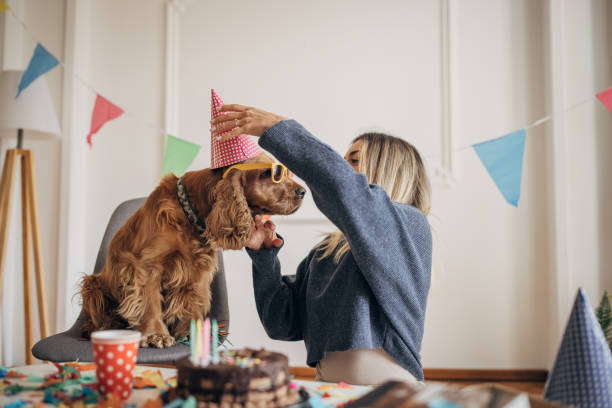 istock Birthday celebration for her pet 1316215471