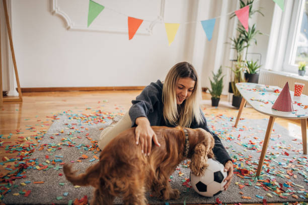 istock Dog's birthday is fun 1316215814