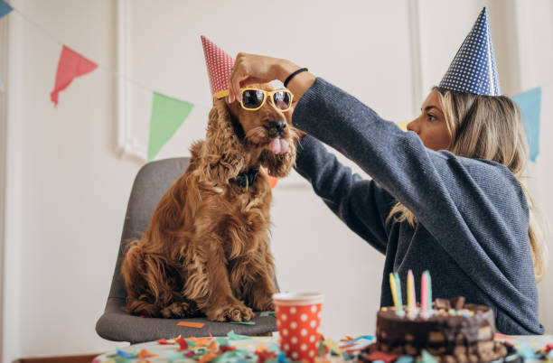 istock Birthday celebration for her pet 1316216887